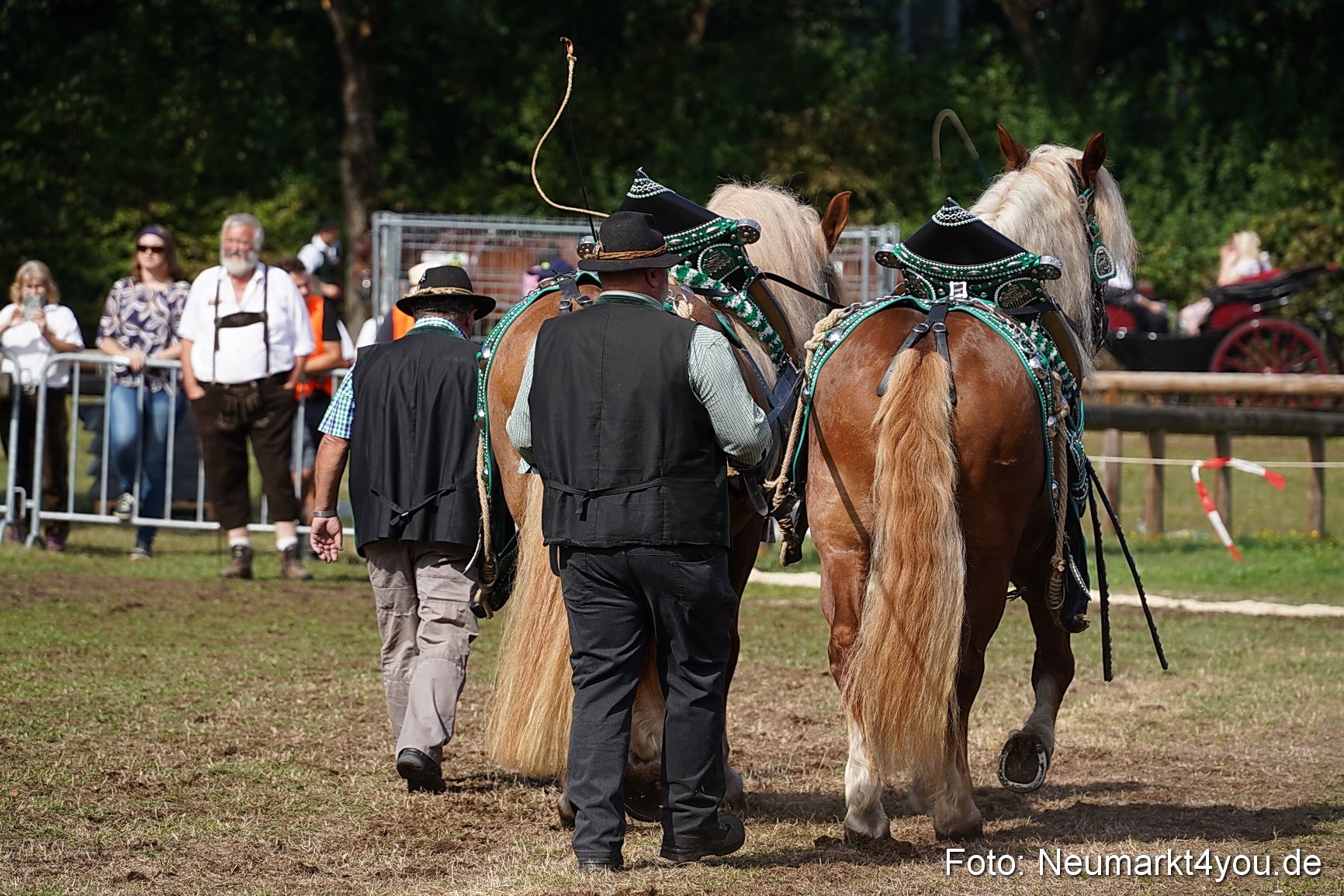 Pferde und Fohlenschau 2022 0191 